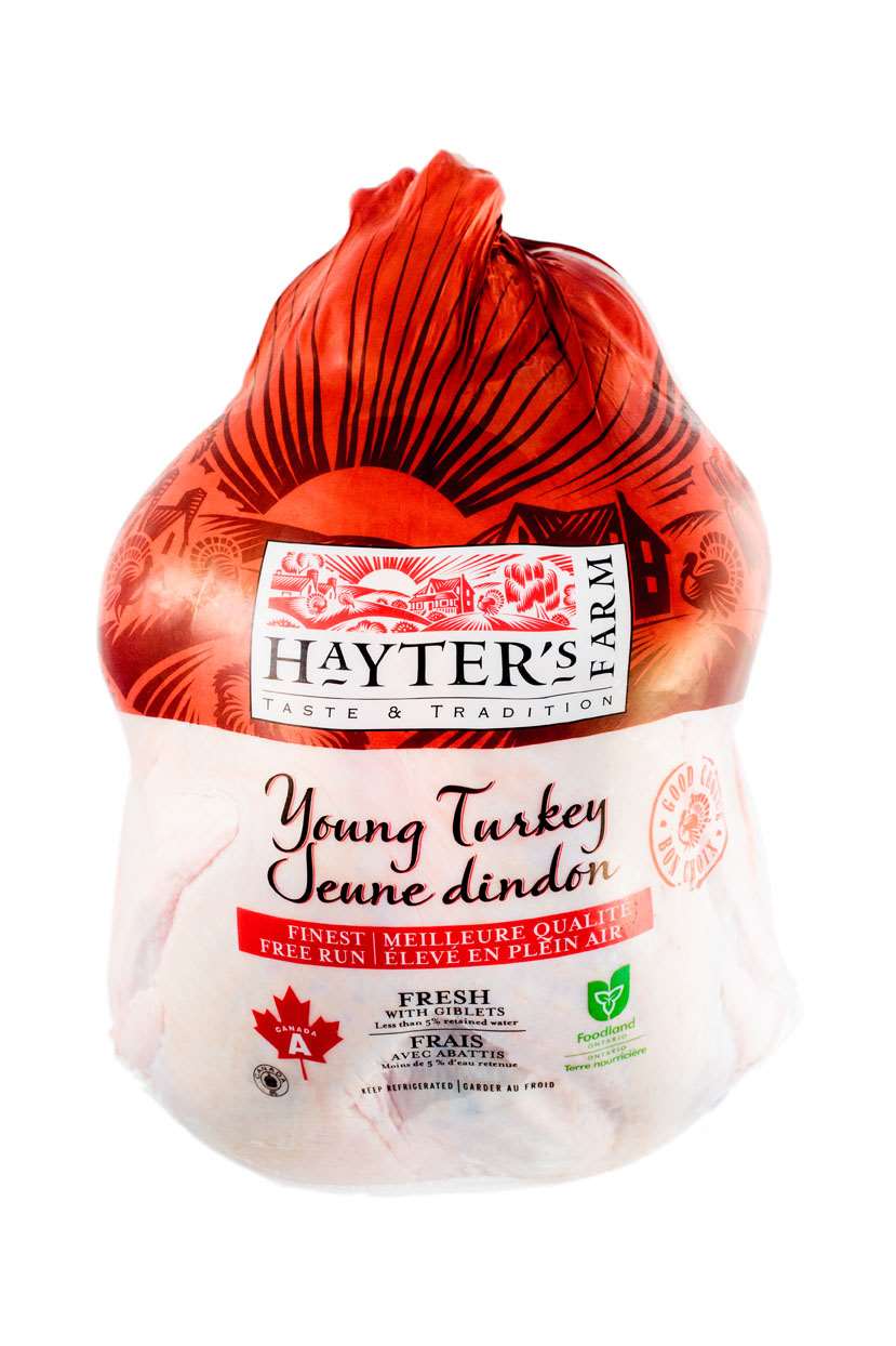 http://www.haytersfarm.com/wp/wp-content/uploads/2014/07/Hayters-Young-Turkey1.jpg